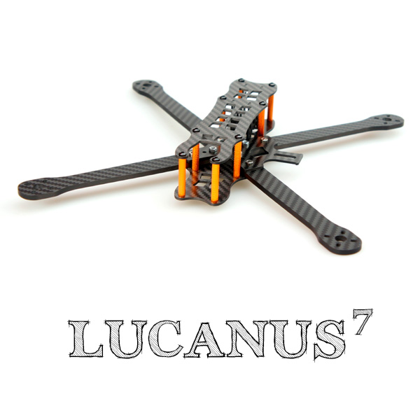 Vertorix Lucanus 7